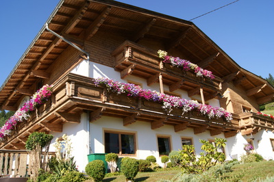 Balkon Blumen 